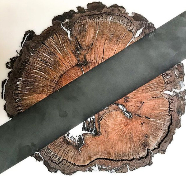 This thought-provoking wall art by R. Nelson Parrish is comprised of bio-resin and reclaimed wood. Representing the artist's fresh and intense perspevctive, each Vista panel is a reflection of our current landscape and centers upon the question of natural versus synthetic. Vista
