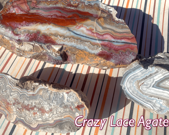 . Crazy/Laguna Lace Agate