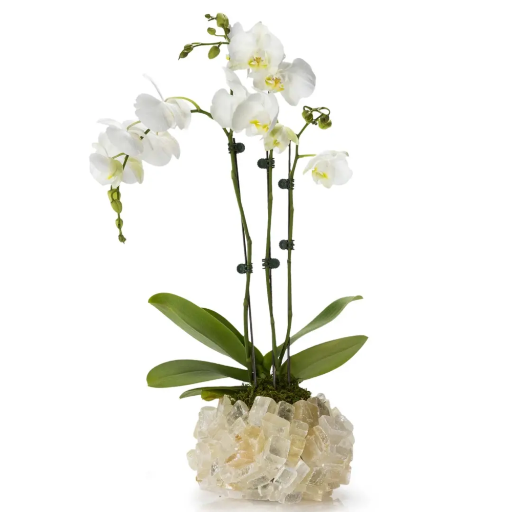 <font size="4"><span style="font-family: "EB Garamond";">Calcite Cube Gemstone Vase -Round</span></font><div style="position: initial; margin: initial; font-family: "EB Garamond";"><font size="4"><br style="position: initial; margin: initial; font-family: "EB Garamond";"></font></div><div style="position: initial; margin: initial; font-family: "EB Garamond";"><p style="margin: initial; padding: 0px; border: 0px; font-family: "EB Garamond"; font-stretch: inherit; line-height: inherit; vertical-align: baseline; caret-color: rgb(51, 51, 51); color: rgb(51, 51, 51); text-size-adjust: auto; position: initial;"><font size="4">Original, hand-made Orange Calcite vase. </font></p><p style="margin: initial; padding: 0px; border: 0px; font-family: "EB Garamond"; font-stretch: inherit; line-height: inherit; vertical-align: baseline; caret-color: rgb(51, 51, 51); color: rgb(51, 51, 51); text-size-adjust: auto; position: initial;"><font size="4">Calcite is believed to:</font></p><ul style="margin: initial; padding: 0px; border: 0px; font-family: "EB Garamond"; font-stretch: inherit; line-height: inherit; vertical-align: baseline; caret-color: rgb(51, 51, 51); color: rgb(51, 51, 51); text-size-adjust: auto; position: initial;"><li style="margin: initial; padding: 0px; border: 0px; font-family: "EB Garamond"; font-style: inherit; font-variant-caps: inherit; font-weight: inherit; font-stretch: inherit; line-height: inherit; vertical-align: baseline; list-style: outside disc; position: initial;"><font size="4">Soak up toxic emotions & negativity.</font></li><li style="margin: initial; padding: 0px; border: 0px; font-family: "EB Garamond"; font-style: inherit; font-variant-caps: inherit; font-weight: inherit; font-stretch: inherit; line-height: inherit; vertical-align: baseline; list-style: outside disc; position: initial;"><font size="4">Support creativity and unlock sexuality.<br style="position: initial; margin: initial; font-family: "EB Garamond";"></font></li><li style="margin: initial; padding: 0px; border: 0px; font-family: "EB Garamond"; font-style: inherit; font-variant-caps: inherit; font-weight: inherit; font-stretch: inherit; line-height: inherit; vertical-align: baseline; list-style: outside disc; position: initial;"><font size="4">Purifies your soul and energy.</font></li></ul><p style="margin: initial; padding: 0px; border: 0px; font-family: "EB Garamond"; font-stretch: inherit; line-height: inherit; vertical-align: baseline; caret-color: rgb(51, 51, 51); color: rgb(51, 51, 51); text-size-adjust: auto; position: initial;"><font size="4">This vase can serve as a wonderful<span style="margin: initial; padding: 0px; border: 0px; font-family: "EB Garamond"; font-style: inherit; font-variant-caps: inherit; font-weight: inherit; font-stretch: inherit; line-height: inherit; vertical-align: baseline; position: initial;"> </span>addition to your Bedroom, Bathroom, Zen Den, and more! The glass center is perfect for holding a candle or a plant to bring energy, healing, and beauty into your space. </font></p><p style="margin: initial; padding: 0px; border: 0px; font-family: "EB Garamond"; font-stretch: inherit; line-height: inherit; vertical-align: baseline; caret-color: rgb(51, 51, 51); color: rgb(51, 51, 51); text-size-adjust: auto; position: initial;"><font size="4">Vase Dimensions: 6" W x 4" H</font></p><p style="margin: initial; padding: 0px; border: 0px; font-family: "EB Garamond"; font-stretch: inherit; line-height: inherit; vertical-align: baseline; caret-color: rgb(51, 51, 51); color: rgb(51, 51, 51); text-size-adjust: auto; position: initial;"><font size="4">Inner glass dimensions: 3.5" x 3.5"</font></p><p style="margin: initial; padding: 0px; border: 0px; font-family: "EB Garamond"; font-stretch: inherit; line-height: inherit; vertical-align: baseline; caret-color: rgb(51, 51, 51); color: rgb(51, 51, 51); text-size-adjust: auto; position: initial;"><span style="margin: initial; padding: 0px; border: 0px; font-family: "EB Garamond"; font-style: inherit; font-variant-caps: inherit; font-weight: inherit; font-stretch: inherit; line-height: inherit; vertical-align: baseline; position: initial;"><font size="4">Each vase is handmade with natural stones, so please allow for slight variations in size, shape, and color.</font></span></p></div> Calcite Cube Gemstone Vase -Round
