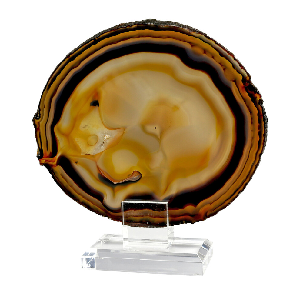 <span style="position: initial; margin: initial;"></span><span style="font-family: "EB Garamond"; position: initial; margin: initial;"><font size="4">Agate Slice On Acrylic Screw-in Stand With Dendrite -Like Pattern & Orange Hues.</font></span><div style="position: initial; margin: initial; font-family: "EB Garamond";"><font size="4"><span style="color: rgb(10, 31, 64); font-family: "EB Garamond"; position: initial; margin: initial;">If you suffer from anxiety or stress, Agate is one of the best crystals to work with to achieve a calmer, more balanced state. This crystal’s soothing, grounding energy guides you out of a state of panic or overwhelm, and helps you get re-centered. To amplify Agate’s calming energy, combine it with third-eye chakra crystals like </span><a href="https://www.energymuse.com/amethy-stones.html" style="outline: none; background-repeat: no-repeat; color: inherit; bad-style: rgb(255, 255, 255); display: inline-block; font-family: "EB Garamond"; position: initial; margin: initial;">Amethyst</a><span style="color: rgb(10, 31, 64); font-family: "EB Garamond"; position: initial; margin: initial;"> to create an all-around peaceful energy.</span></font><span style="font-family: "EB Garamond"; position: initial; margin: initial;"><br style="position: initial; margin: initial;"></span></div> Agate Slice On Acrylic Screw-in Stand With Dendrite -Like Pattern & Orange Hues