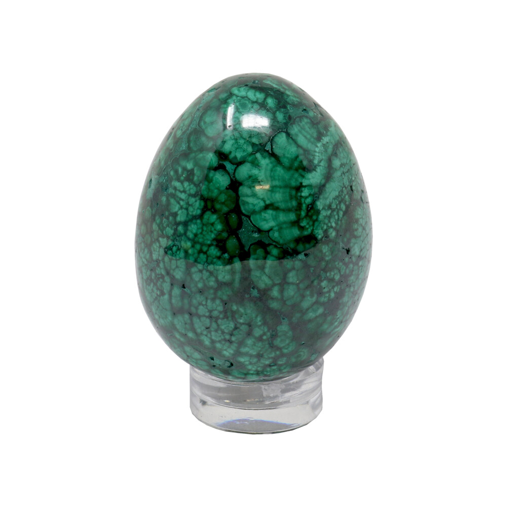 <font size="4" style="position: initial; margin: initial;"><span style="font-family: "EB Garamond"; position: initial; margin: initial;"><font size="4" style="position: initial; margin: initial;">Malachite Polished Egg -Small</font></span></font><div style="position: initial; margin: initial; font-family: "EB Garamond";"><font size="4" style="position: initial; margin: initial;"><br style="position: initial; margin: initial; font-family: "EB Garamond";"></font></div><div style="position: initial; margin: initial; font-family: "EB Garamond";"><p style="margin: initial; font-variant-numeric: normal; font-variant-east-asian: normal; font-stretch: normal; line-height: normal; font-family: "EB Garamond"; color: rgb(0, 0, 0); position: initial;"><b style="position: initial; margin: initial; font-family: "EB Garamond";"><font size="4" style="position: initial; margin: initial;">Malachite </font></b><span style="font-size: 1.2rem; position: initial; margin: initial;">is usually found in opaque green masses, its color derived</span></p><p style="margin: initial; font-variant-numeric: normal; font-variant-east-asian: normal; font-stretch: normal; line-height: normal; font-family: "EB Garamond"; color: rgb(0, 0, 0); position: initial;"><font size="4" style="position: initial; margin: initial;">from copper, as a secondary mineral. Found in the vast rainforests of the</font></p><p style="margin: initial; font-variant-numeric: normal; font-variant-east-asian: normal; font-stretch: normal; line-height: normal; font-family: "EB Garamond"; color: rgb(0, 0, 0); position: initial;"><font size="4" style="position: initial; margin: initial;">Congo in Africa; the moisture allows copper to oxidize most easily into</font></p><p style="margin: initial; font-variant-numeric: normal; font-variant-east-asian: normal; font-stretch: normal; line-height: normal; font-family: "EB Garamond"; color: rgb(0, 0, 0); position: initial;"><font size="4" style="position: initial; margin: initial;">the surrounding stone. Chatoyant (fibirous) crystals are too small for</font></p><p style="margin: initial; font-variant-numeric: normal; font-variant-east-asian: normal; font-stretch: normal; line-height: normal; font-family: "EB Garamond"; color: rgb(0, 0, 0); position: initial;"><font size="4" style="position: initial; margin: initial;">faceting, but the light bending quality leaves one in awe. The massive</font></p><p style="margin: initial; font-variant-numeric: normal; font-variant-east-asian: normal; font-stretch: normal; line-height: normal; font-family: "EB Garamond"; color: rgb(0, 0, 0); position: initial;"><font size="4" style="position: initial; margin: initial;">material can be carved or polished in many ways to reveal the alternating</font></p><p style="margin: initial; font-variant-numeric: normal; font-variant-east-asian: normal; font-stretch: normal; line-height: normal; font-family: "EB Garamond"; color: rgb(0, 0, 0); position: initial;"><font size="4" style="position: initial; margin: initial;">bands of light & dark green. In the past, malachite was worn to ward off</font></p><p style="margin: initial; font-variant-numeric: normal; font-variant-east-asian: normal; font-stretch: normal; line-height: normal; font-family: "EB Garamond"; color: rgb(0, 0, 0); position: initial;"><font size="4" style="position: initial; margin: initial;">danger & illness. Exhibition of botryoidal “eyes” formation, the layers</font></p><p style="margin: initial; font-variant-numeric: normal; font-variant-east-asian: normal; font-stretch: normal; line-height: normal; font-family: "EB Garamond"; color: rgb(0, 0, 0); position: initial;"><font size="4" style="position: initial; margin: initial;">represent an introspective stone.</font></p><p style="margin: initial; font-variant-numeric: normal; font-variant-east-asian: normal; font-stretch: normal; line-height: normal; font-family: "EB Garamond"; color: rgb(0, 0, 0); position: initial;"><font style="position: initial; margin: initial; font-family: "EB Garamond";" size="4"><br style="position: initial; margin: initial; font-family: "EB Garamond";"></font></p><p style="font-variant-numeric: normal; font-variant-east-asian: normal; font-stretch: normal; line-height: normal; font-family: "EB Garamond"; color: rgb(38, 38, 38); position: initial; margin: initial;"><span style="font-kerning: none; position: initial; margin: initial; font-family: "EB Garamond";"><span style="position: initial; margin: initial; font-family: "EB Garamond";"><font size="4" style="">As each piece is unique and one of a kind, please allow for variations in size, shape, and color of the stone that you receive. We guarantee the authenticity of this gemstone. Your satisfaction is guaranteed.</font></span></span></p></div> Malachite Polished Egg -Small