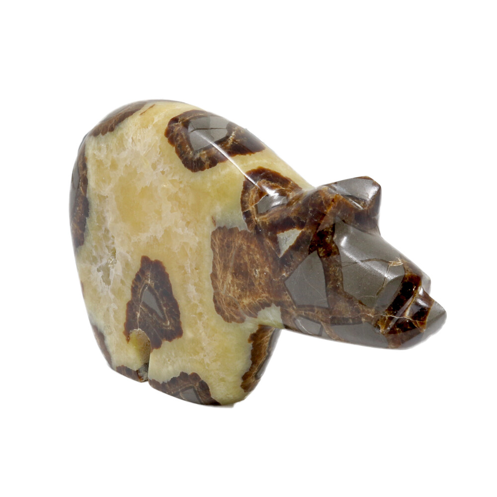<span></span><span style="font-family: "EB Garamond";">Septarian Zuni Bear With Druze Pocket From Utah</span><div style="position: initial; margin: initial;"><p style="margin: initial; font-variant-numeric: normal; font-variant-east-asian: normal; font-stretch: normal; line-height: normal; font-family: "EB Garamond"; color: rgb(0, 0, 0); position: initial;"><font style="font-size: 1.2rem; line-height: 22px; position: initial; margin: initial;"><span style="font-weight: 700; position: initial; margin: initial;"><br style="position: initial; margin: initial;">Septarian </span>also known as Dragon Stone, is a concretion of Calcite, which</font></p><p style="margin: initial; font-variant-numeric: normal; font-variant-east-asian: normal; font-stretch: normal; line-height: normal; font-family: "EB Garamond"; color: rgb(0, 0, 0); position: initial;"><font style="font-size: 1.2rem; line-height: 22px; position: initial; margin: initial;">makes up the yellow centers, Aragonite, which are the brown lines, and</font></p><p style="margin: initial; font-variant-numeric: normal; font-variant-east-asian: normal; font-stretch: normal; line-height: normal; font-family: "EB Garamond"; color: rgb(0, 0, 0); position: initial;"><font style="font-size: 1.2rem; line-height: 22px; position: initial; margin: initial;">the outer grey rock is mud-like limestone. Formed during the Cretaceous</font></p><p style="margin: initial; font-variant-numeric: normal; font-variant-east-asian: normal; font-stretch: normal; line-height: normal; font-family: "EB Garamond"; color: rgb(0, 0, 0); position: initial;"><font style="font-size: 1.2rem; line-height: 22px; position: initial; margin: initial;">Period. The root word ‘septaria’ stems in Latin meaning ‘partition.’</font></p><p style="margin: initial; font-variant-numeric: normal; font-variant-east-asian: normal; font-stretch: normal; line-height: normal; font-family: "EB Garamond"; color: rgb(0, 0, 0); position: initial;"><font style="font-size: 1.2rem; line-height: 22px; position: initial; margin: initial;">Septarian is a wonderful stone to carry with you if you speak in public, as</font></p><p style="margin: initial; font-variant-numeric: normal; font-variant-east-asian: normal; font-stretch: normal; line-height: normal; font-family: "EB Garamond"; color: rgb(0, 0, 0); position: initial;"><font style="font-size: 1.2rem; line-height: 22px; position: initial; margin: initial;">it gives you confidence, & allows you to gain an audience’s attention.</font></p><p style="margin: initial; font-variant-numeric: normal; font-variant-east-asian: normal; font-stretch: normal; line-height: normal; font-family: "EB Garamond"; color: rgb(0, 0, 0); position: initial;"><font style="font-size: 1.2rem; line-height: 22px; position: initial; margin: initial;">Septarian allows for better tolerance & patience, as well as emotional</font></p><p style="margin: initial; font-variant-numeric: normal; font-variant-east-asian: normal; font-stretch: normal; line-height: normal; font-family: "EB Garamond"; color: rgb(0, 0, 0); position: initial;"><font style="font-size: 1.2rem; line-height: 22px; position: initial; margin: initial;">flexibility. Specimens can be found from the Zion National Park Region,</font></p><p style="margin: initial; font-variant-numeric: normal; font-variant-east-asian: normal; font-stretch: normal; line-height: normal; font-family: "EB Garamond"; color: rgb(0, 0, 0); position: initial;"><font style="font-size: 1.2rem; line-height: 22px; position: initial; margin: initial;">(exhibiting yellow calcite druzy) to Madagascar.</font></p></div> Septarian Zuni Bear With Druze Pocket From Utah