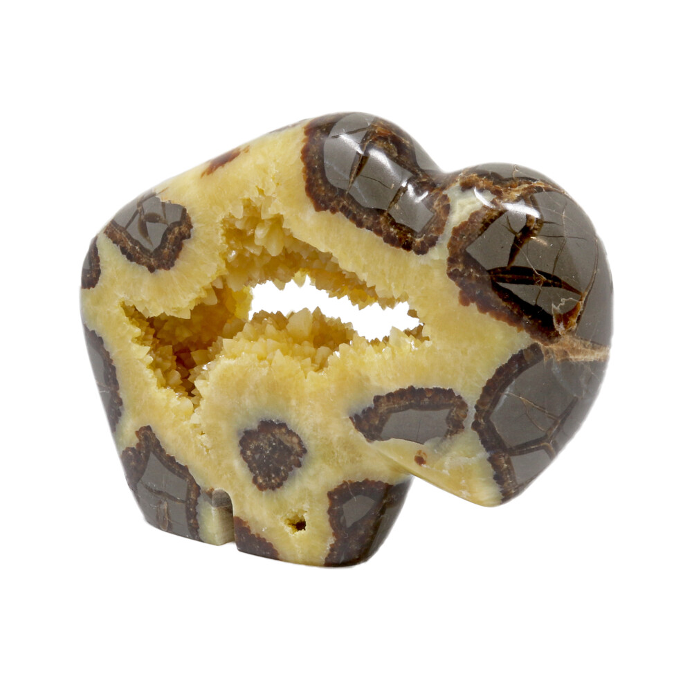 <span></span><span style="font-family: "EB Garamond";">Septarian Buffalo With Druze Pocket From Utah</span><div style="position: initial; margin: initial;"><br style="position: initial; margin: initial;"></div><div style="position: initial; margin: initial;"><p style="margin: initial; font-variant-numeric: normal; font-variant-east-asian: normal; font-stretch: normal; line-height: normal; font-family: "EB Garamond"; color: rgb(0, 0, 0); position: initial;"><font style="font-size: 1.2rem; line-height: 22px; position: initial; margin: initial;"><span style="font-weight: 700; position: initial; margin: initial;">Septarian </span>also known as Dragon Stone, is a concretion of Calcite, which</font></p><p style="margin: initial; font-variant-numeric: normal; font-variant-east-asian: normal; font-stretch: normal; line-height: normal; font-family: "EB Garamond"; color: rgb(0, 0, 0); position: initial;"><font style="font-size: 1.2rem; line-height: 22px; position: initial; margin: initial;">makes up the yellow centers, Aragonite, which are the brown lines, and</font></p><p style="margin: initial; font-variant-numeric: normal; font-variant-east-asian: normal; font-stretch: normal; line-height: normal; font-family: "EB Garamond"; color: rgb(0, 0, 0); position: initial;"><font style="font-size: 1.2rem; line-height: 22px; position: initial; margin: initial;">the outer grey rock is mud-like limestone. Formed during the Cretaceous</font></p><p style="margin: initial; font-variant-numeric: normal; font-variant-east-asian: normal; font-stretch: normal; line-height: normal; font-family: "EB Garamond"; color: rgb(0, 0, 0); position: initial;"><font style="font-size: 1.2rem; line-height: 22px; position: initial; margin: initial;">Period. The root word ‘septaria’ stems in Latin meaning ‘partition.’</font></p><p style="margin: initial; font-variant-numeric: normal; font-variant-east-asian: normal; font-stretch: normal; line-height: normal; font-family: "EB Garamond"; color: rgb(0, 0, 0); position: initial;"><font style="font-size: 1.2rem; line-height: 22px; position: initial; margin: initial;">Septarian is a wonderful stone to carry with you if you speak in public, as</font></p><p style="margin: initial; font-variant-numeric: normal; font-variant-east-asian: normal; font-stretch: normal; line-height: normal; font-family: "EB Garamond"; color: rgb(0, 0, 0); position: initial;"><font style="font-size: 1.2rem; line-height: 22px; position: initial; margin: initial;">it gives you confidence, & allows you to gain an audience’s attention.</font></p><p style="margin: initial; font-variant-numeric: normal; font-variant-east-asian: normal; font-stretch: normal; line-height: normal; font-family: "EB Garamond"; color: rgb(0, 0, 0); position: initial;"><font style="font-size: 1.2rem; line-height: 22px; position: initial; margin: initial;">Septarian allows for better tolerance & patience, as well as emotional</font></p><p style="margin: initial; font-variant-numeric: normal; font-variant-east-asian: normal; font-stretch: normal; line-height: normal; font-family: "EB Garamond"; color: rgb(0, 0, 0); position: initial;"><font style="font-size: 1.2rem; line-height: 22px; position: initial; margin: initial;">flexibility. Specimens can be found from the Zion National Park Region,</font></p><p style="margin: initial; font-variant-numeric: normal; font-variant-east-asian: normal; font-stretch: normal; line-height: normal; font-family: "EB Garamond"; color: rgb(0, 0, 0); position: initial;"><font style="font-size: 1.2rem; line-height: 22px; position: initial; margin: initial;">(exhibiting yellow calcite druzy) to Madagascar.</font></p></div> Septarian Buffalo With Druze Pocket From Utah
