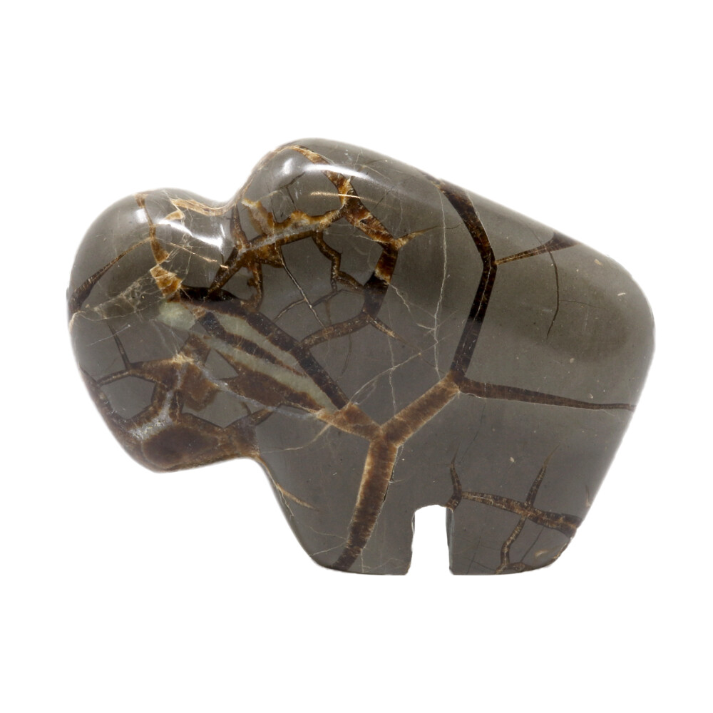 <font size="4"><span style="font-family: "EB Garamond";"><font size="4">Septarian Buffalo With Druze Pocket From Utah</font></span></font><div style="position: initial; margin: initial; font-family: "EB Garamond";"><font size="4"><br style="position: initial; margin: initial; font-family: "EB Garamond";"></font></div><div style="position: initial; margin: initial; font-family: "EB Garamond";"><p style="margin: initial; font-variant-numeric: normal; font-variant-east-asian: normal; font-stretch: normal; line-height: normal; font-family: "EB Garamond"; color: rgb(0, 0, 0); position: initial;"><font size="4"><b style="position: initial; margin: initial; font-family: "EB Garamond";">Septarian </b>also known as Dragon Stone, is a concretion of Calcite, which</font></p><p style="margin: initial; font-variant-numeric: normal; font-variant-east-asian: normal; font-stretch: normal; line-height: normal; font-family: "EB Garamond"; color: rgb(0, 0, 0); position: initial;"><font size="4">makes up the yellow centers, Aragonite, which are the brown lines, and</font></p><p style="margin: initial; font-variant-numeric: normal; font-variant-east-asian: normal; font-stretch: normal; line-height: normal; font-family: "EB Garamond"; color: rgb(0, 0, 0); position: initial;"><font size="4">the outer grey rock is mud-like limestone. Formed during the Cretaceous</font></p><p style="margin: initial; font-variant-numeric: normal; font-variant-east-asian: normal; font-stretch: normal; line-height: normal; font-family: "EB Garamond"; color: rgb(0, 0, 0); position: initial;"><font size="4">Period. The root word ‘septaria’ stems in Latin meaning ‘partition.’</font></p><p style="margin: initial; font-variant-numeric: normal; font-variant-east-asian: normal; font-stretch: normal; line-height: normal; font-family: "EB Garamond"; color: rgb(0, 0, 0); position: initial;"><font size="4">Septarian is a wonderful stone to carry with you if you speak in public, as</font></p><p style="margin: initial; font-variant-numeric: normal; font-variant-east-asian: normal; font-stretch: normal; line-height: normal; font-family: "EB Garamond"; color: rgb(0, 0, 0); position: initial;"><font size="4">it gives you confidence, & allows you to gain an audience’s attention.</font></p><p style="margin: initial; font-variant-numeric: normal; font-variant-east-asian: normal; font-stretch: normal; line-height: normal; font-family: "EB Garamond"; color: rgb(0, 0, 0); position: initial;"><font size="4">Septarian allows for better tolerance & patience, as well as emotional</font></p><p style="margin: initial; font-variant-numeric: normal; font-variant-east-asian: normal; font-stretch: normal; line-height: normal; font-family: "EB Garamond"; color: rgb(0, 0, 0); position: initial;"><font size="4">flexibility. Specimens can be found from the Zion National Park Region,</font></p><p style="font-variant-numeric: normal; font-variant-east-asian: normal; font-stretch: normal; line-height: normal; font-family: "EB Garamond"; color: rgb(0, 0, 0); position: initial; margin: initial;"><font size="4">(exhibiting yellow calcite druzy) to Madagascar.</font></p></div> Septarian Buffalo With Druze Pocket From Utah