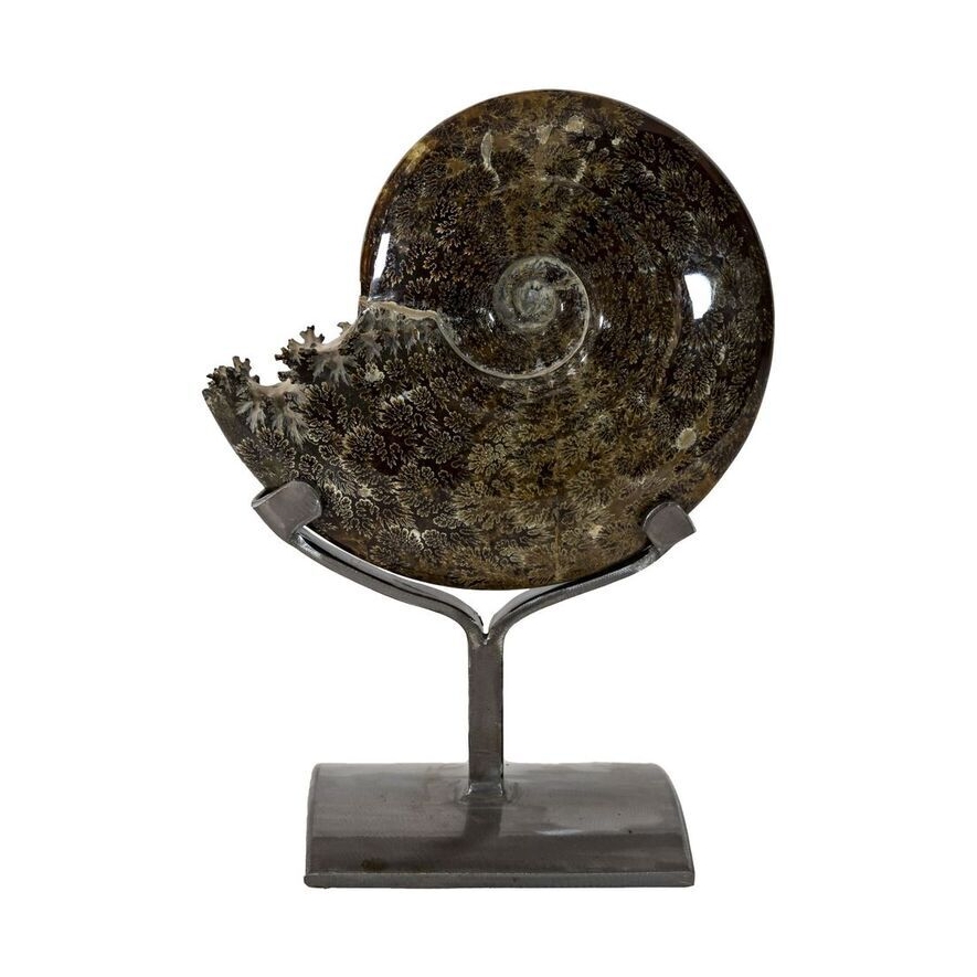 <font size="4"><span style="font-family: "EB Garamond";"><font size="4">Polished Ammonite on Custom Metal Stand. Ammonites are a truly profound snapshot of our prehistoric past. This ammonite features an incredibly well-preserved suture pattern and when combined with its rich color and impeccably polished exterior, creates a remarkable art piece that can be incorporated into any space.</font></span></font> Ammonite Fossil Whole - Sutures On Custom Stand