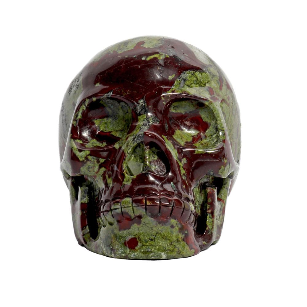 Dragon Bloodstone Skull Rare Earth Gallery